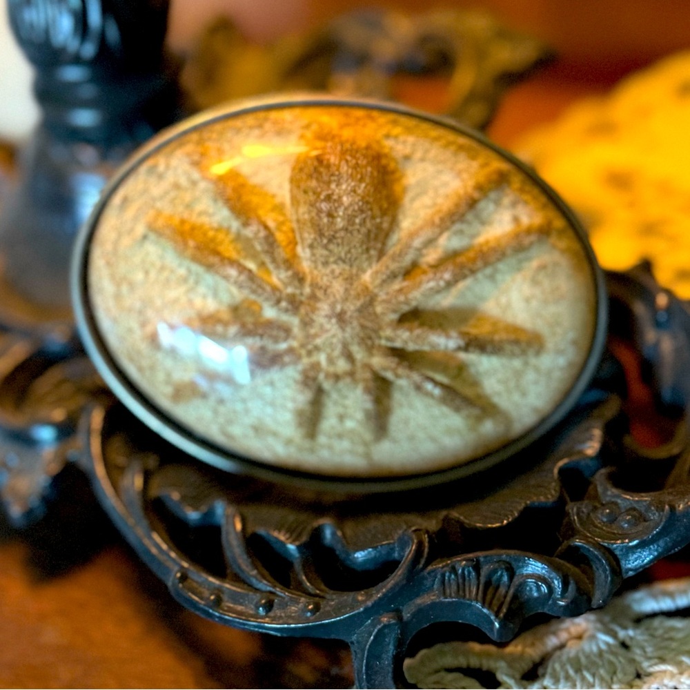 Not a real SPIDER BELT BUCKLE